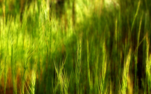 581976 (a): :1920x1200